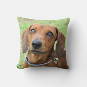 Cojín Decorativo Dachshund