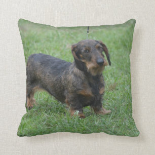 Cojín Decorativo Dachshund cabelludo del alambre lindo