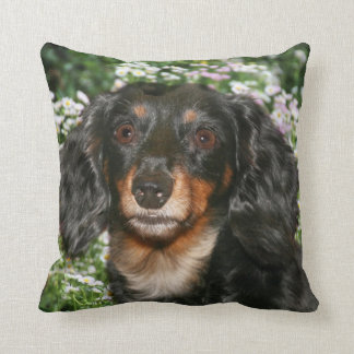 Cojín Decorativo Dachshund de pelo largo
