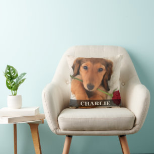 Cojín Decorativo Dachshund de pelo largo Doxie Amor Rosa Roja