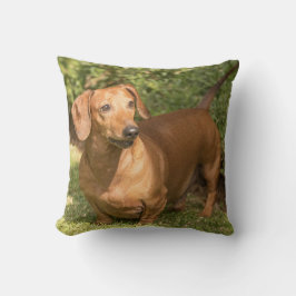 Cojín Decorativo Dachshund marrón - Doxie