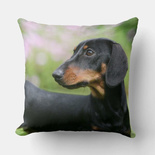 Cojín Decorativo Dachshund negro y del moreno 2 de Miniture (Anverso)