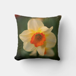 Cojín decorativo Daffodil Spring Flower Flora