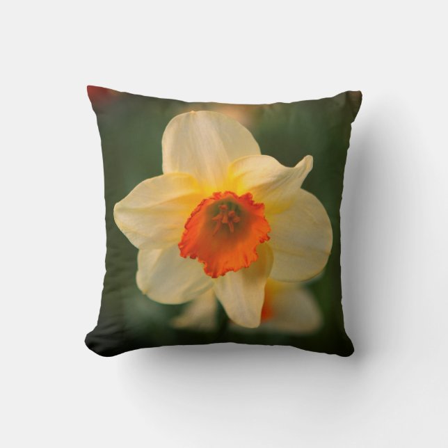 Cojín decorativo Daffodil Spring Flower Flora (Anverso)