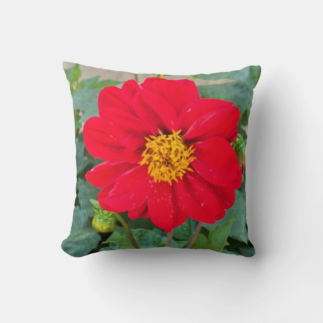 Cojín Decorativo Dahlia Bright Red (Anverso)