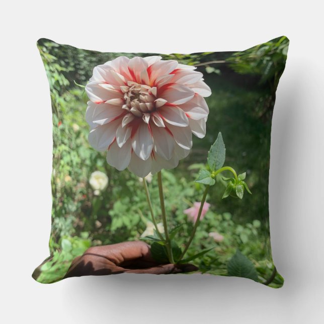 Cojín Decorativo Dahlia Flor lanzar Pillow (Anverso)