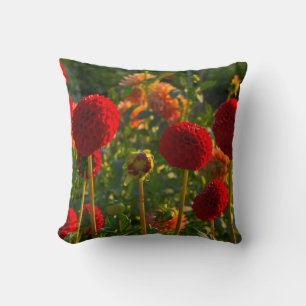 Cojín Decorativo Dahlias, granja de dahlias, Canby, Oregón, EE. UU.