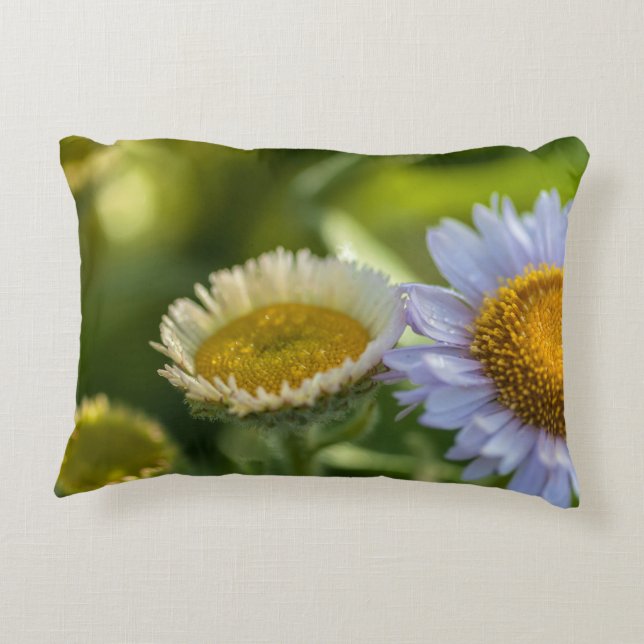 Cojín Decorativo daisies costeros (Reverso)