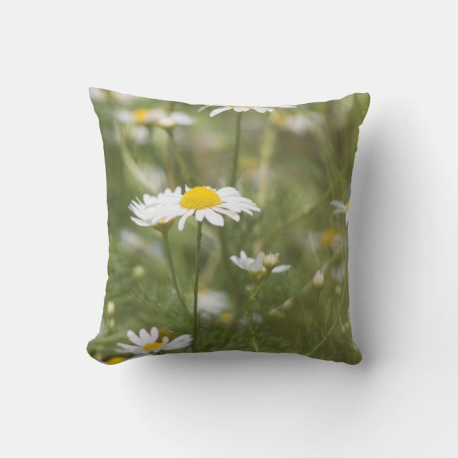 Cojín Decorativo Daisy (Anverso)