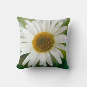 Cojín Decorativo Daisy de Oxeye blanco - Leucanthemum vulgare