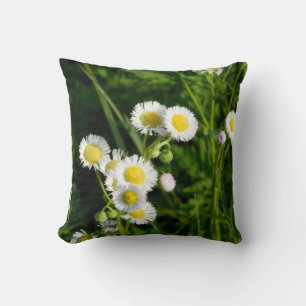 Cojín Decorativo Daisy Fleabane Pillow