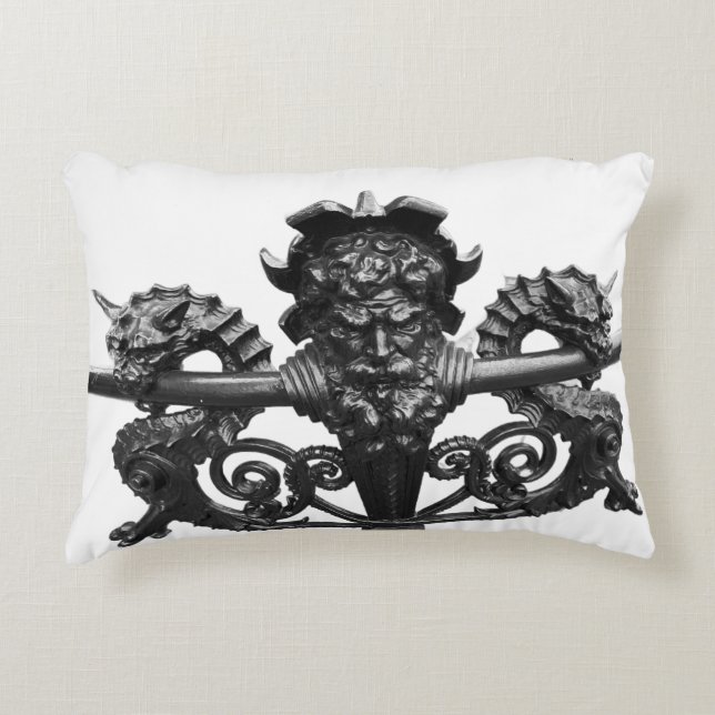 Cojín Decorativo Dakota Throw Pillow (Anverso)