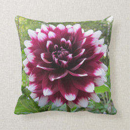 Cojín Decorativo Dalia