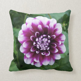 Cojín Decorativo Dalia púrpura y blanca