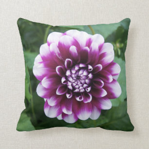 Cojín Decorativo Dalia púrpura y blanca