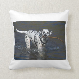 Cojín Decorativo dalmatian-en water.png