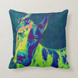 Cojín Decorativo danés del arco iris