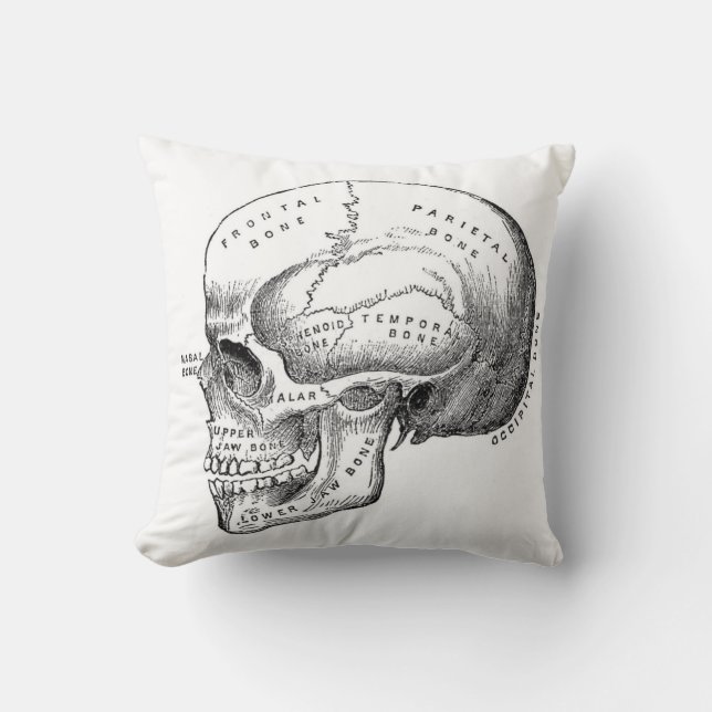 Cojín Decorativo Dark Academia Skull Pillow (Anverso)
