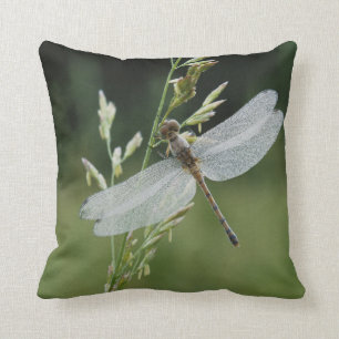 Cojín Decorativo Darner Dragonfly cubierto por Dew
