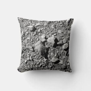 Cojín Decorativo DART Dimorfo Asteroide Moonlet Surface