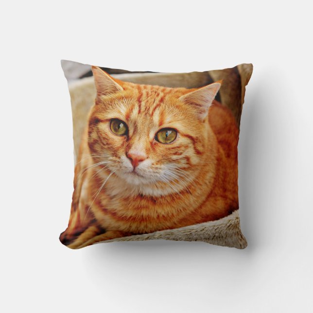 Cojín decorativo de 16" x 16" (Anverso)