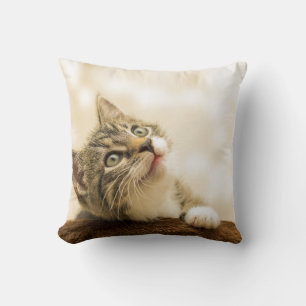 Cojín decorativo de 16" x 16"