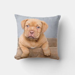 Cojín decorativo de 16" x 16"