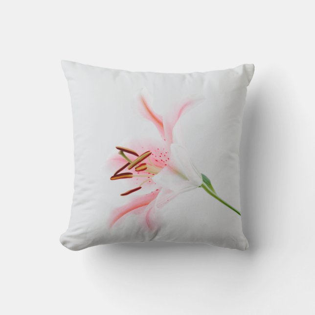 Cojín decorativo de 16" x 16" (Anverso)