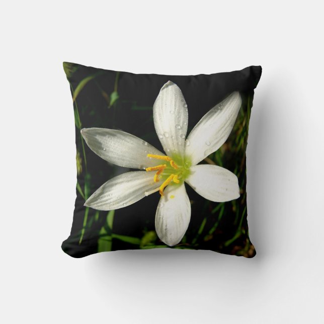 Cojín decorativo de belleza blanca (Anverso)