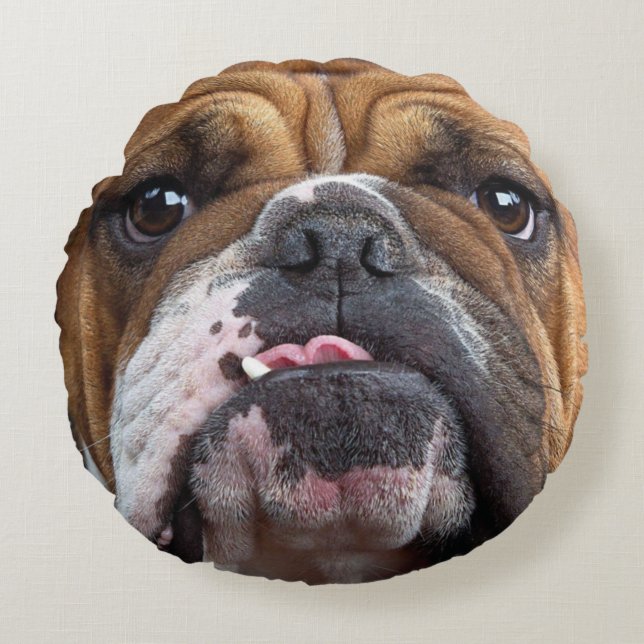 Cojín decorativo de Bulldog inglés (Anverso)