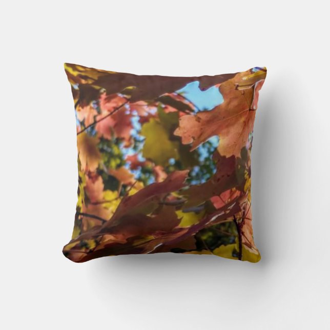 Cojín decorativo de caída (Anverso)