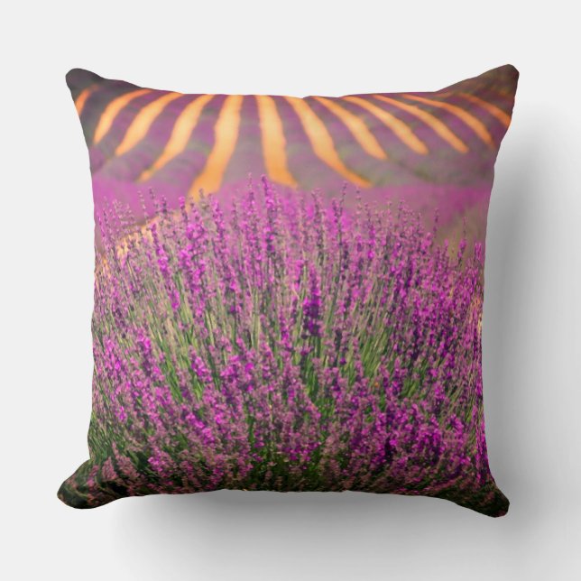 Cojín decorativo de campo de lavanda (Anverso)