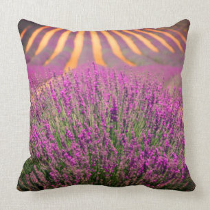 Cojín decorativo de campo de lavanda