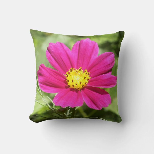 Cojín decorativo de flores Cosmos Rosadas caliente (Anverso)