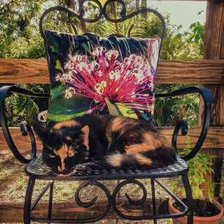Cojín decorativo de flores Starburst Clerodendrum