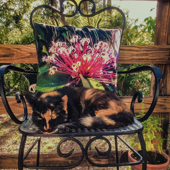Cojín decorativo de flores Starburst Clerodendrum (Subido por el creador)