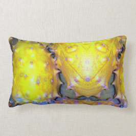 Cojín decorativo de frutas Dragon