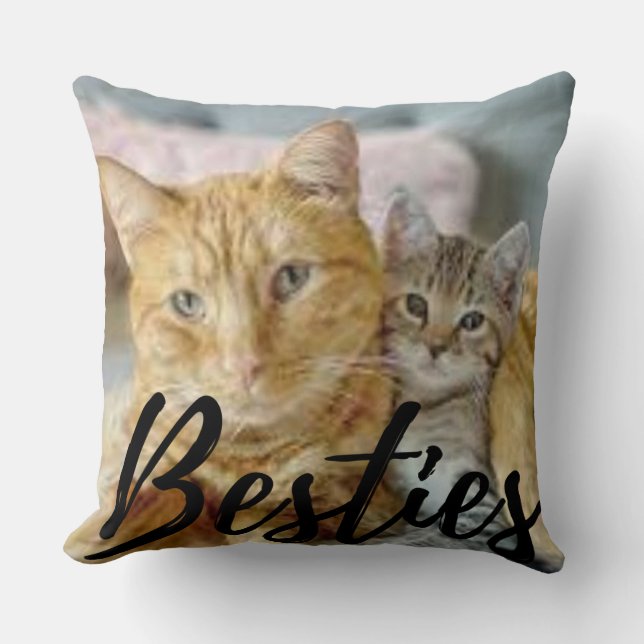 Cojín decorativo de gatos [Bestias] (Anverso)