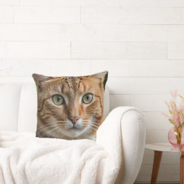 Cojín decorativo de gatos tabby