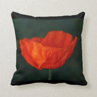 Cojín decorativo de la amapola de Islandia
