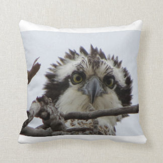 Cojín decorativo de la foto de Osprey del