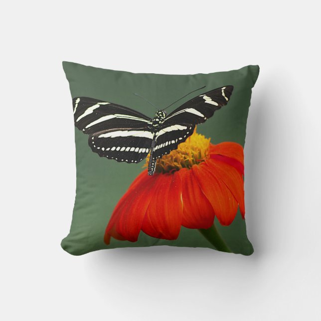 Cojín decorativo de la mariposa de cebra longwing (Anverso)