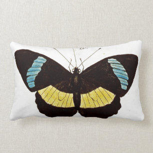 Cojín decorativo de la mariposa en negro,