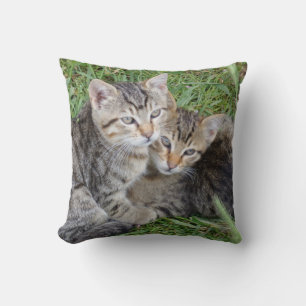 Cojín decorativo de las hermanas tabby