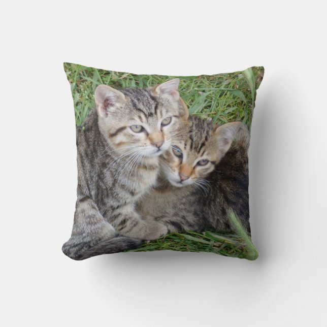 Cojín decorativo de las hermanas tabby (Anverso)