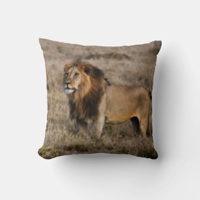 Cojín decorativo de Leones Africanos (Anverso)