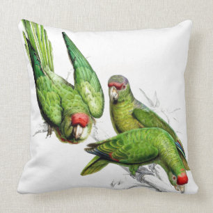 Cojín decorativo de los animales de la fauna de