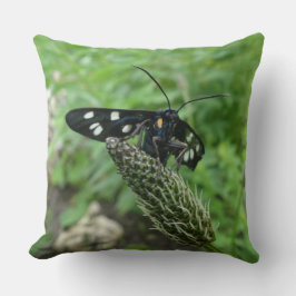 Cojín decorativo de mariposa tropical negro puntea