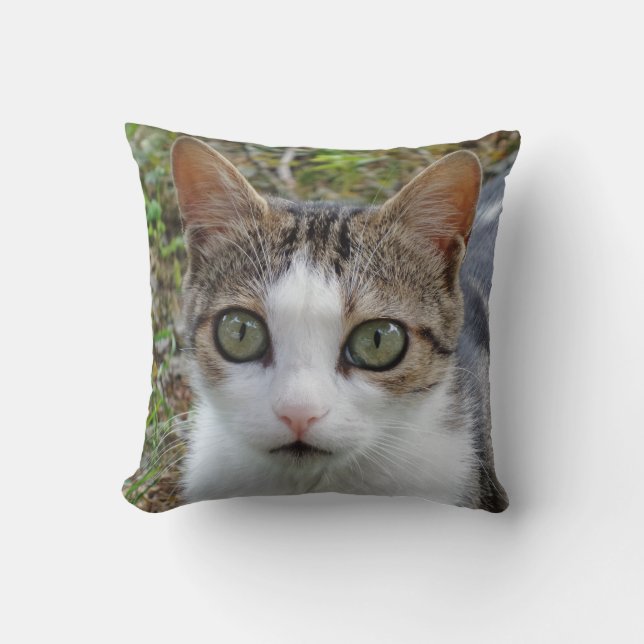 Cojín decorativo de ojos de gato (Anverso)