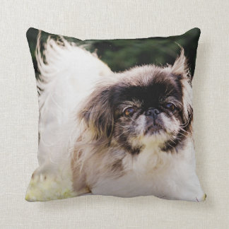 Cojín decorativo de Pekingese